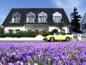 Basic Information for Property Buyers Interested in Buying Luxury Homes